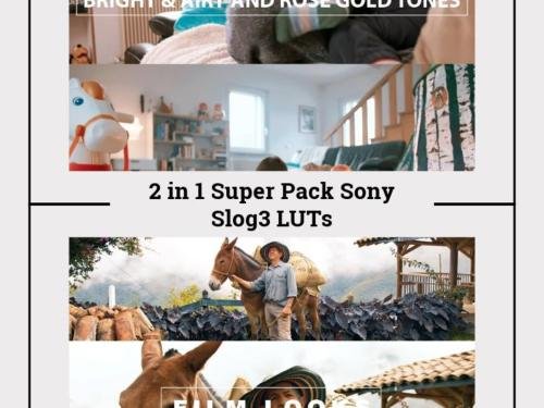 2-in-1 Sony S-Log3 LUTs Pack | 10 Cinematic .CUBE LUTs for A7S III, FX3, FX30, A7 IV | Color Grading for DaVinci, Premiere, Final Cut